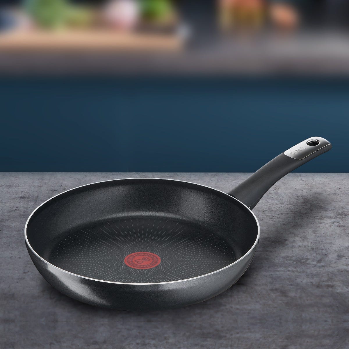 Sartén de aluminio 24 cm Hard Titanium Plus C3820482 T-Fal