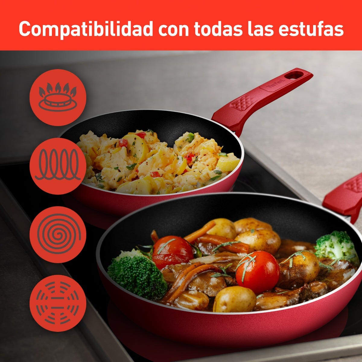 Juego de sartenes de aluminio 20 y 24 cm rojo Dayli Expert T-Fal