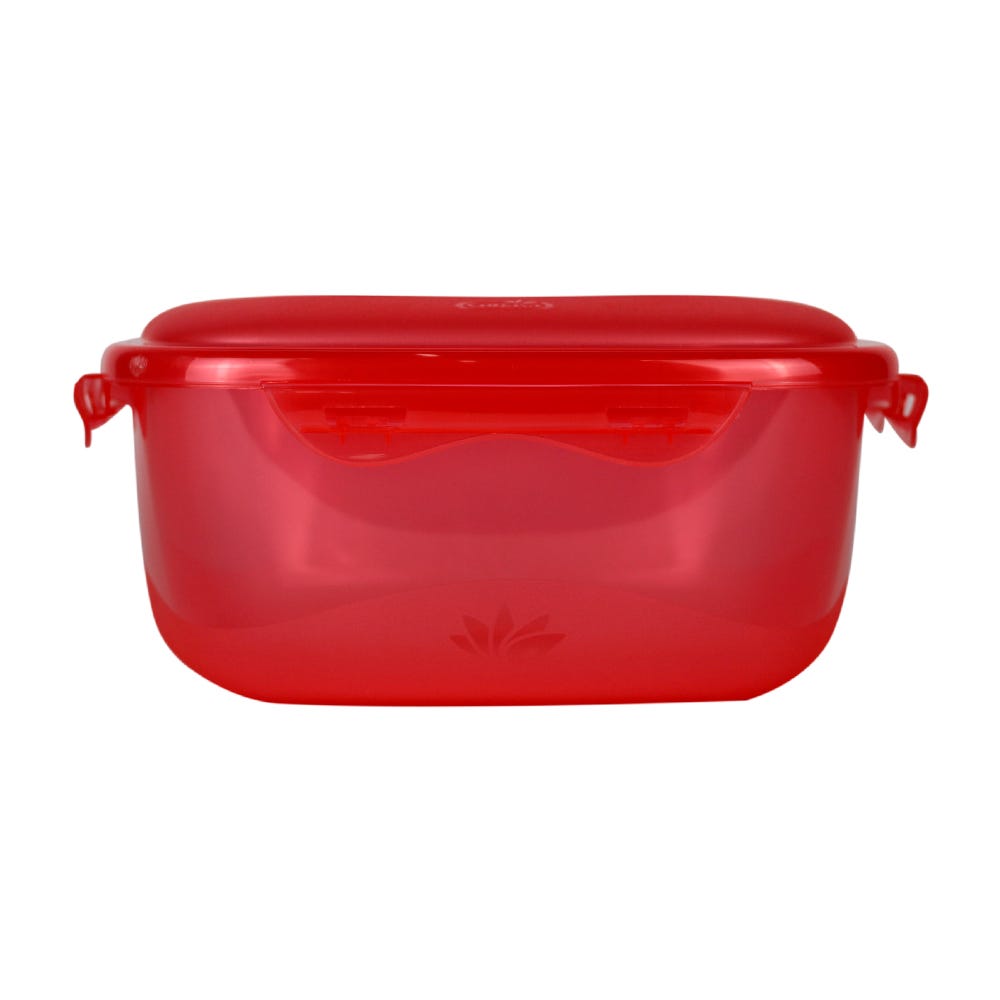 Contenedor de plástico 3 L Hermético Big Brooch 0563 Cubasa