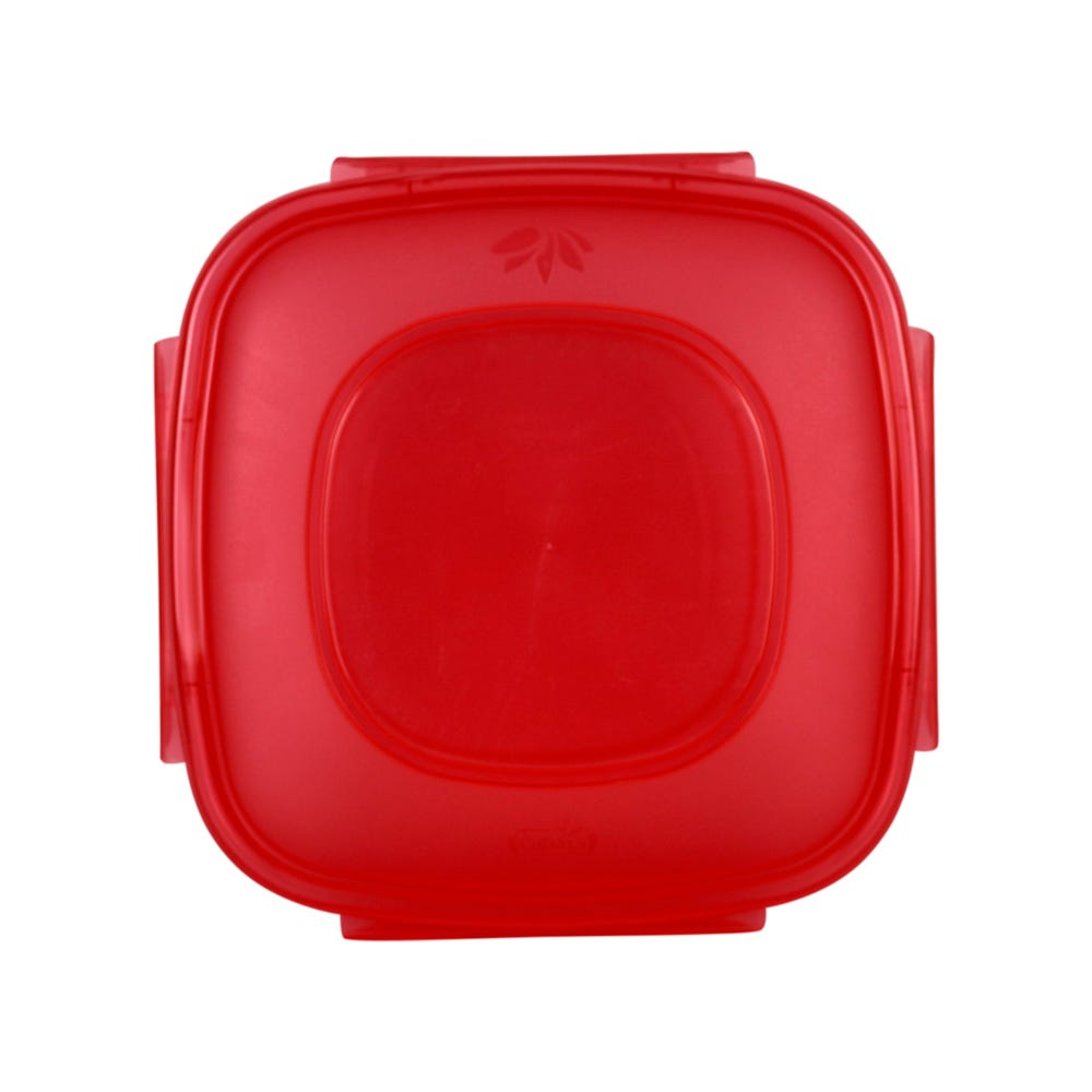 Contenedor de plástico 3 L Hermético Big Brooch 0563 Cubasa