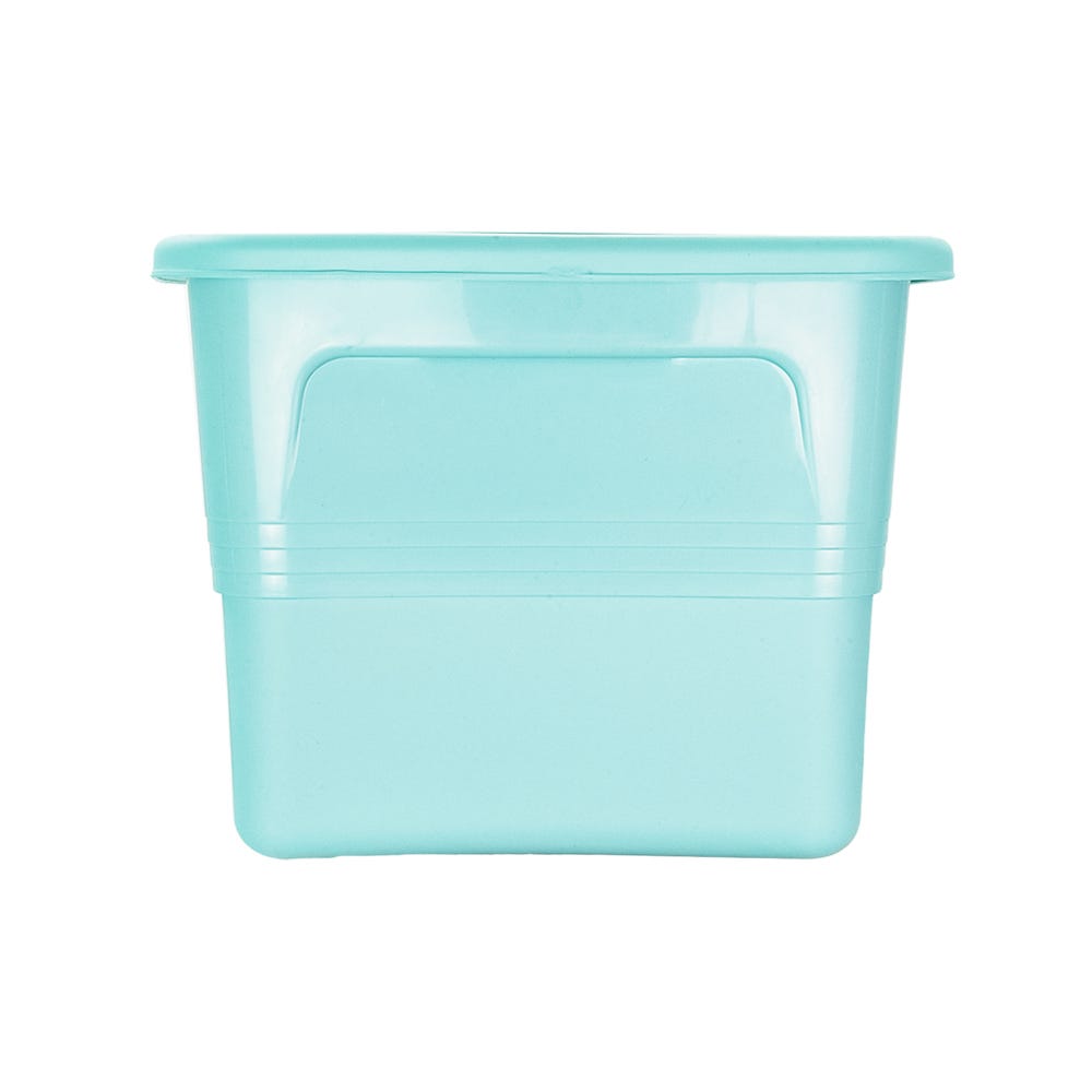 Caja multiusos de plástico 38 L con tapa Atlanta S010TZZR Plastic Trends