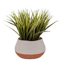 Pasto artificial 24 cm GX-C922 Home Sweet Home