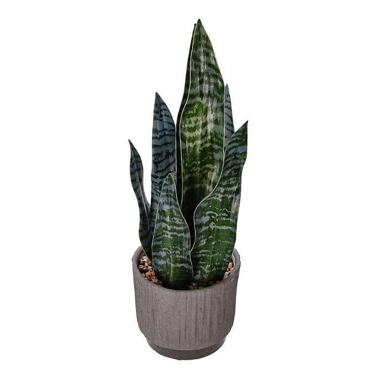 Pasto artificial 46 cm GX-C919 Home Sweet Home
