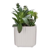 Planta artificial 16 cm GX-E202 Home Sweet Home