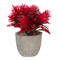 Planta artificial 12 cm ATA3002 Home Sweet Home