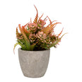 Planta artificial 10.6 cm ATA3170 Home Sweet Home