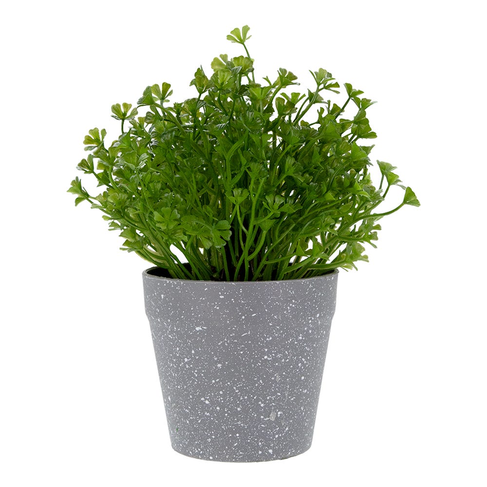 Planta artificial 21.4 cm ATA3241 Home Sweet Home