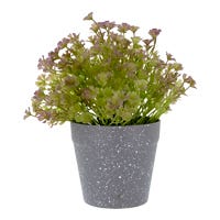 Planta artificial 21.4 cm ATA3241 Home Sweet Home