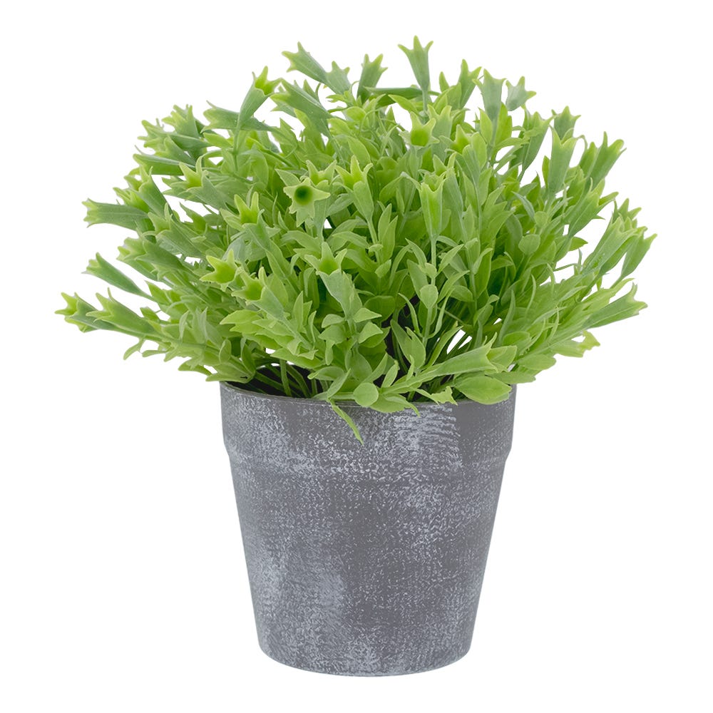 Planta artificial 22 cm ATA3243 Home Sweet Home
