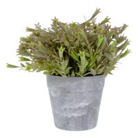Planta artificial 22 cm ATA3243 Home Sweet Home