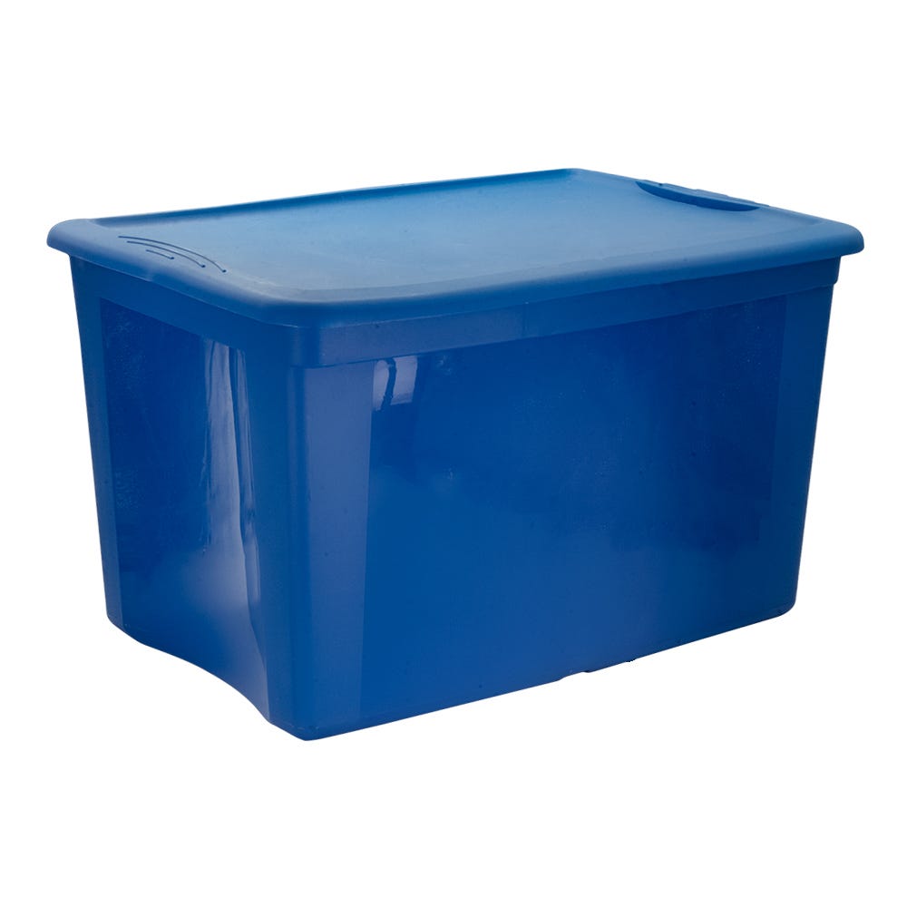 Caja de plástico con tapa Smartbox 60 L 011064 Home Pro