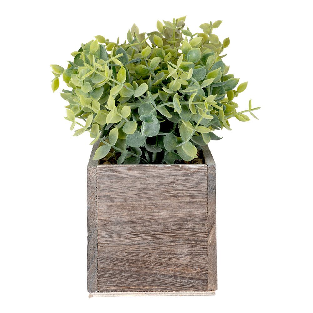 Planta artificial en maceta ATD3138 Home Sweet Home