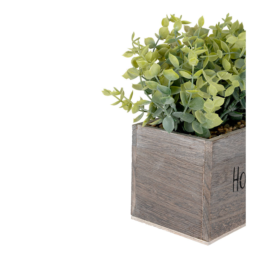 Planta artificial en maceta ATD3138 Home Sweet Home