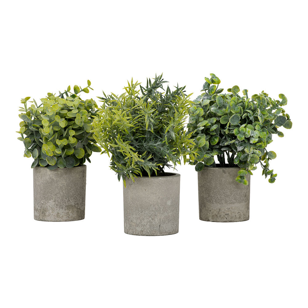 Juego de 3 plantas artificiales con macetas ATD3139 Home Sweet Home