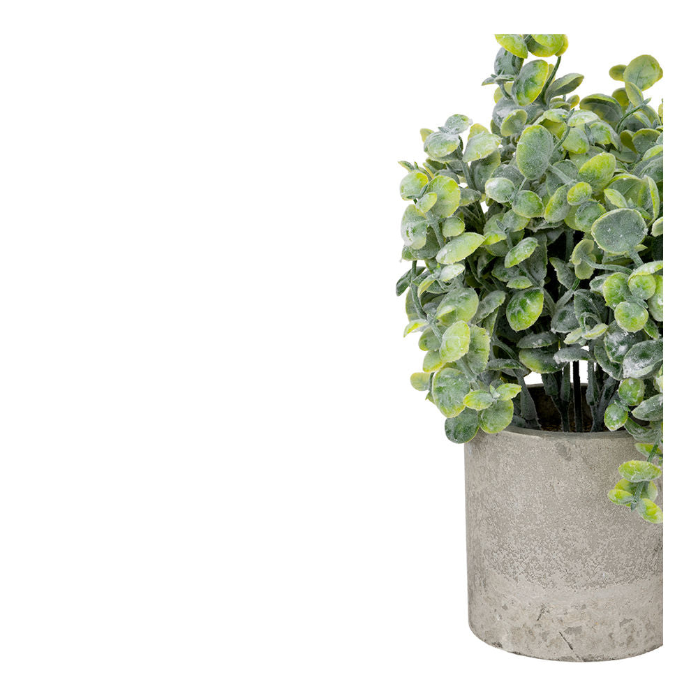 Juego de 3 plantas artificiales con macetas ATD3139 Home Sweet Home