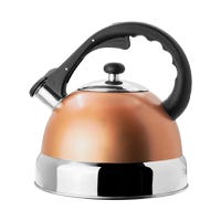 Tetera de acero inoxidable 3.5 L ATA1229 Home Sweet Home