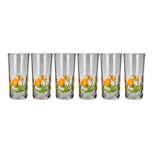 Juego de vasos de vidrio 6 piezas 295 ml Tulipanes 8360 Crisa