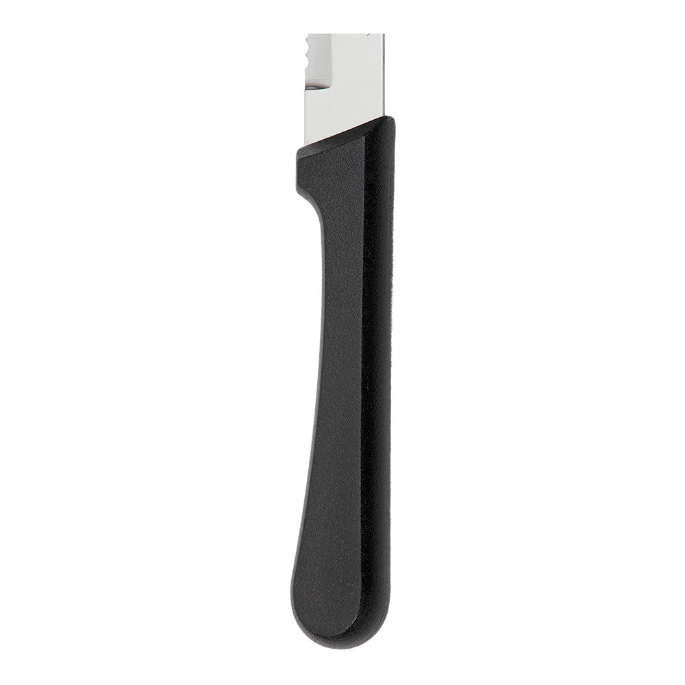 Cuchillo para fruta de acero inoxidable 5" mango plástico Plenus Tramontina – cuchillo, vista completa