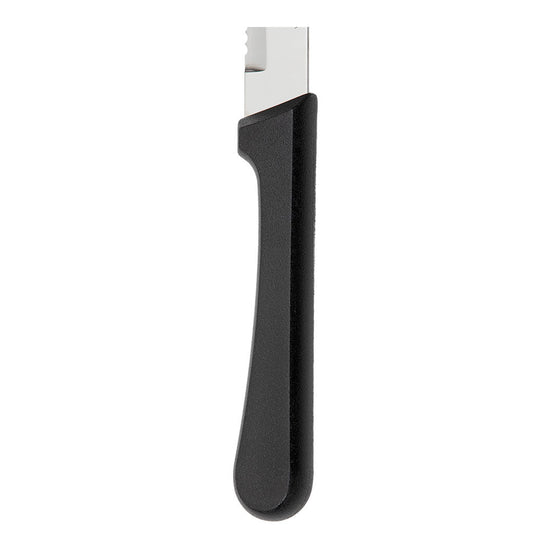 Cuchillo para fruta de acero inoxidable 5" mango plástico Plenus Tramontina – cuchillo, vista completa